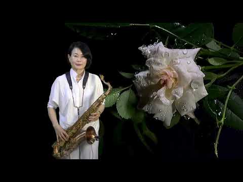 서안순 - 그날/<strong>김연숙</strong>(부산 동네방네 방문 연주) 2024.7.30