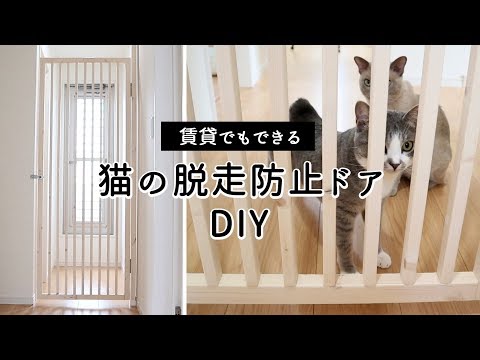 DIY the door to prevent cats escape