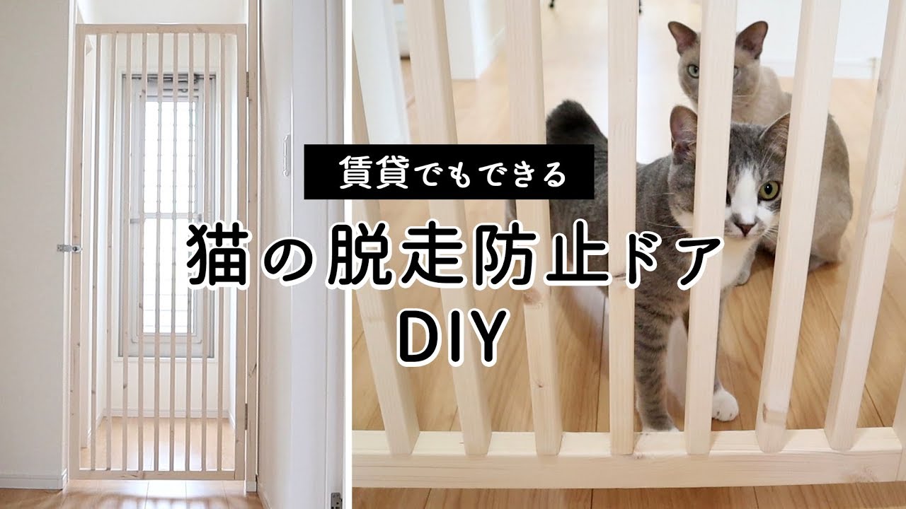 賃貸でもできるdiy 猫の脱走防止ドアを予算8 000円でつくる Youtube