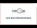 Chroniques microbiennes  les bactriophages