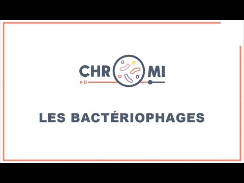 Chroniques Microbiennes - Les Bactériophages