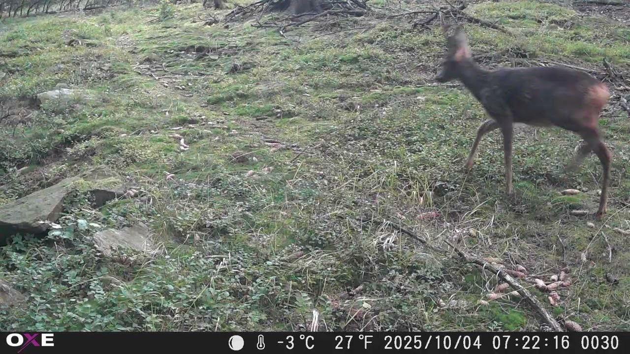 Fotopast Vysoká Září 2025