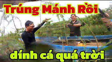 Thăm Lờ Thả Lưới Bắt Cá Và Cái Kết Không Tưởng.