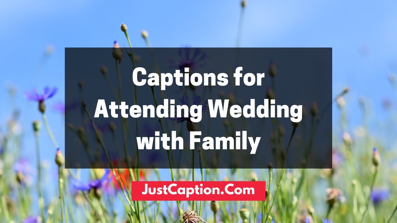 Cute Captions for Attending Wedding with Family