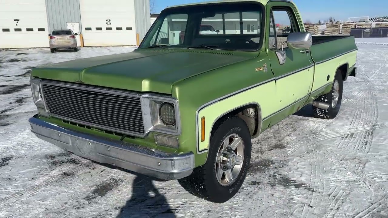 1976 Chevrolet C20 | EG Auctions