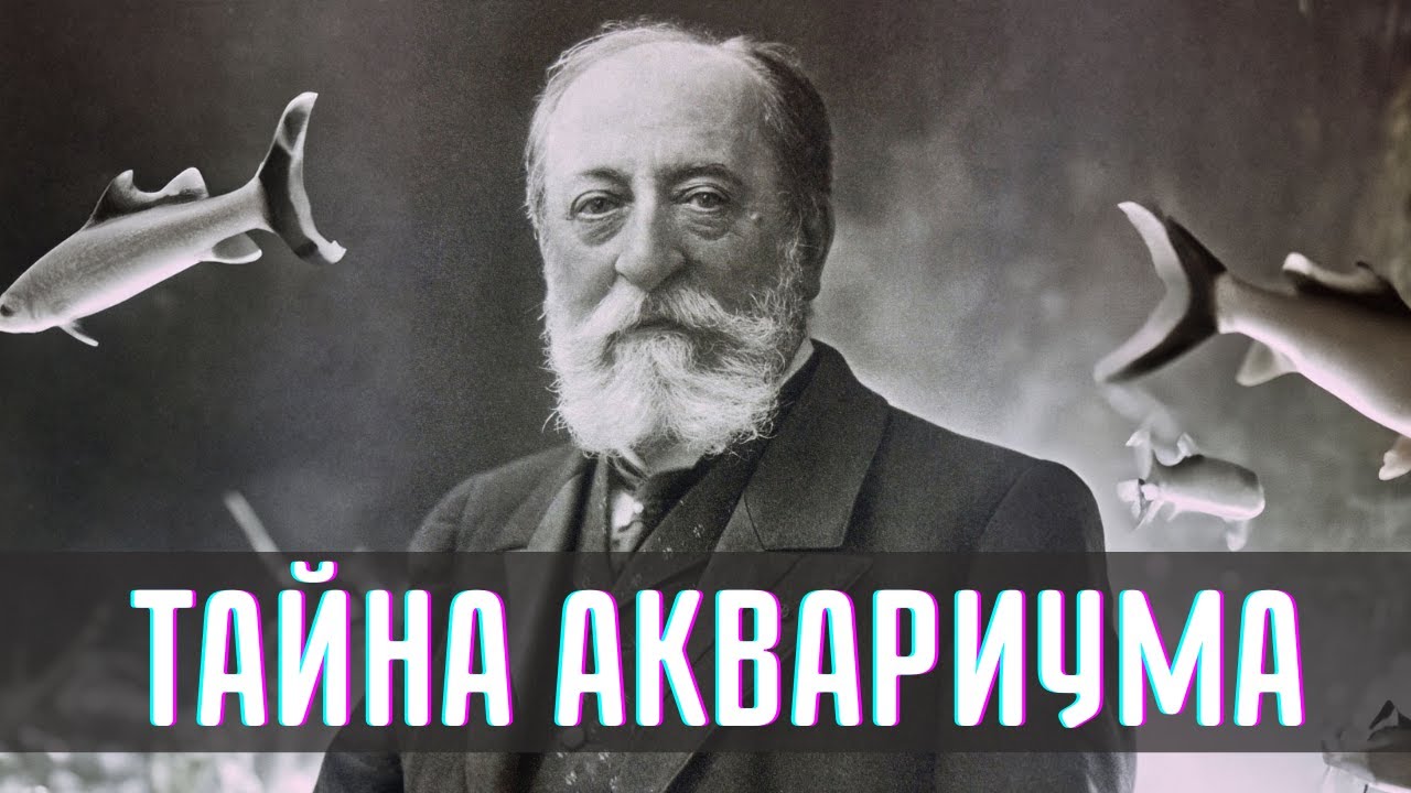 "При жизни не издавать": почему Сен-Санс боялся стать автором глупых произведений / 1000 и одна нота