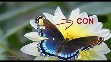 CHALLENGE YOUR FRIENDS TO CREATE "CON" FOLDER IN WINDOWS