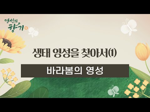 영상썸네일