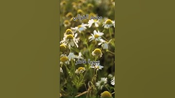 سورة فاطر محمد الغزالي#محمد_الغزالي#سورة_فاطر#اكسبلور #المصحف #قران_كريم #راحة_نفسية #اسلام #لكم