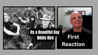 A Golden Cage & A Dying Soul – ‘White Bird’ Full Song Breakdown” {First Reaction}