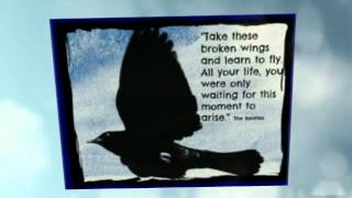 "Back Into The Sunshine" Book Trailer