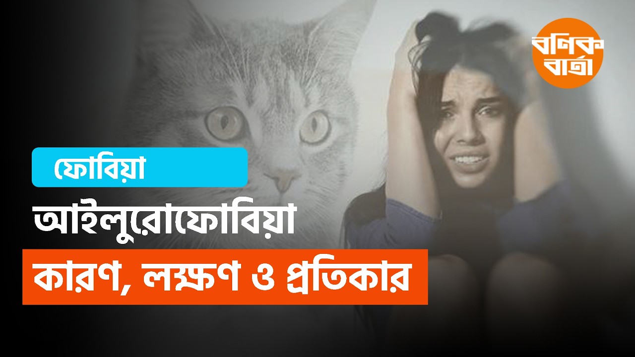 নেপোলিয়ন, হিটলারসহ অনেকেই ভুগতেন ‘আইলুরোফোবিয়া’য়, আপনিও কি আক্রান্ত?