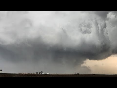 LARGE EF-4 Wedge