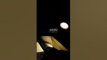 اتل ما أوحي إليك من الكتاب|تلاوة خاشعة //بصوت صالح اليافعي 🎧أرح قلبك المتعب قليلاً🫀🌿