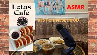 Zagat rated Chinese food Mukbang / ASMR Chinese dumpling hot sour soup slurping screenshot 5