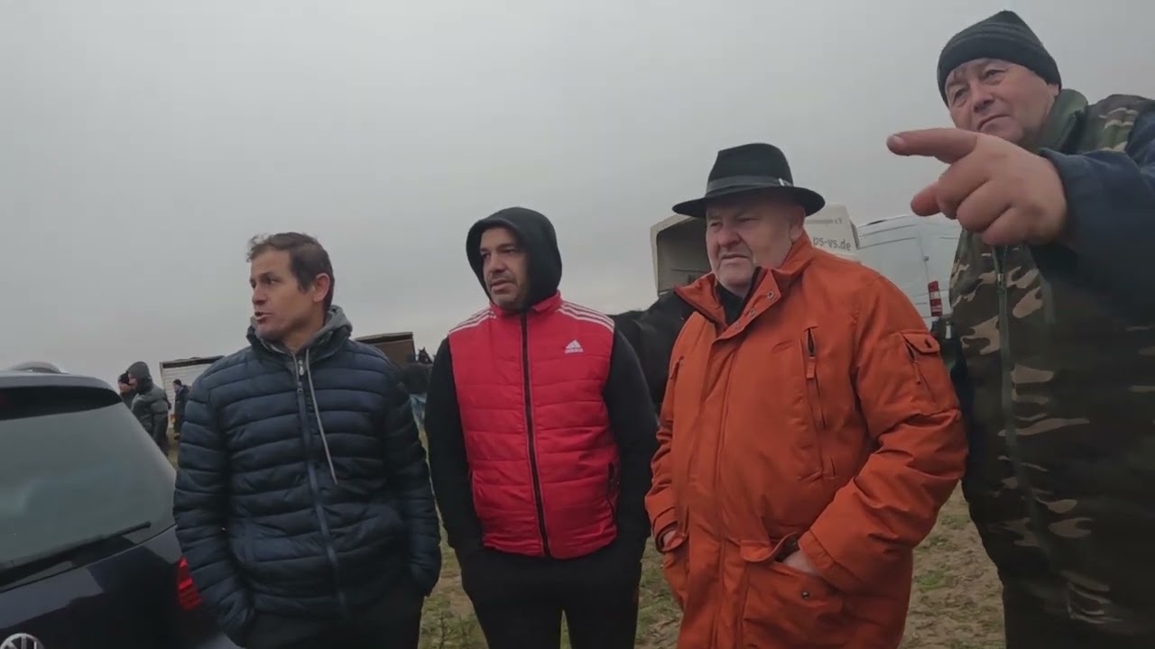 Ярмарка лошадей-рыболовов 22 ноября 2025 года