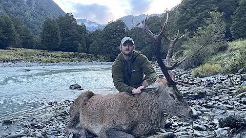 Two Giant Wilderness Red Stags - Part 1 - New Zealand Hunting
