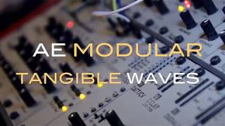 like sound AE Modular -Tangible Waves VCO with filter WASP vs filter NYLE (Steiner type) sound demo