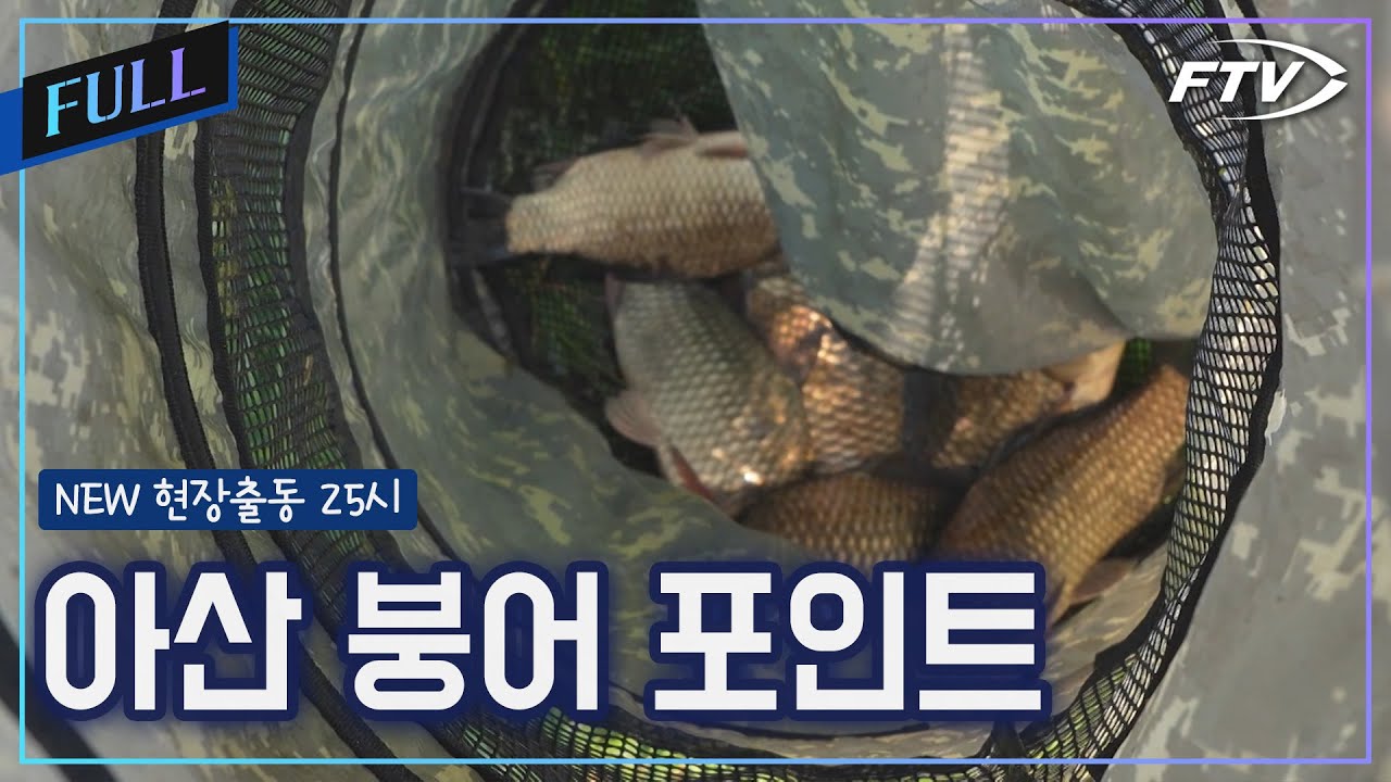 아산 하천권 현장출동 [NEW현장출동25시/29회]