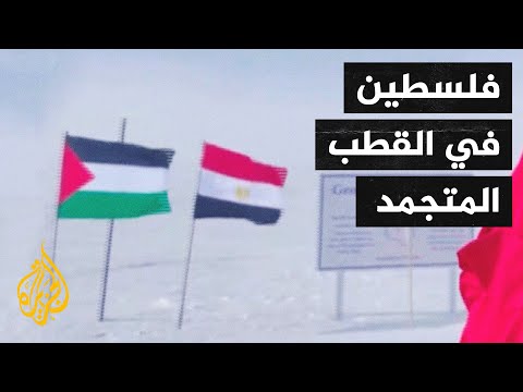 قصة نجاح شاب مصري من المدارس الحكومية إلى المؤسسات العالمية ويتوجها برفع علم فلسطين
