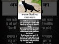 अचानक बिल्ली का रास्ता काटना