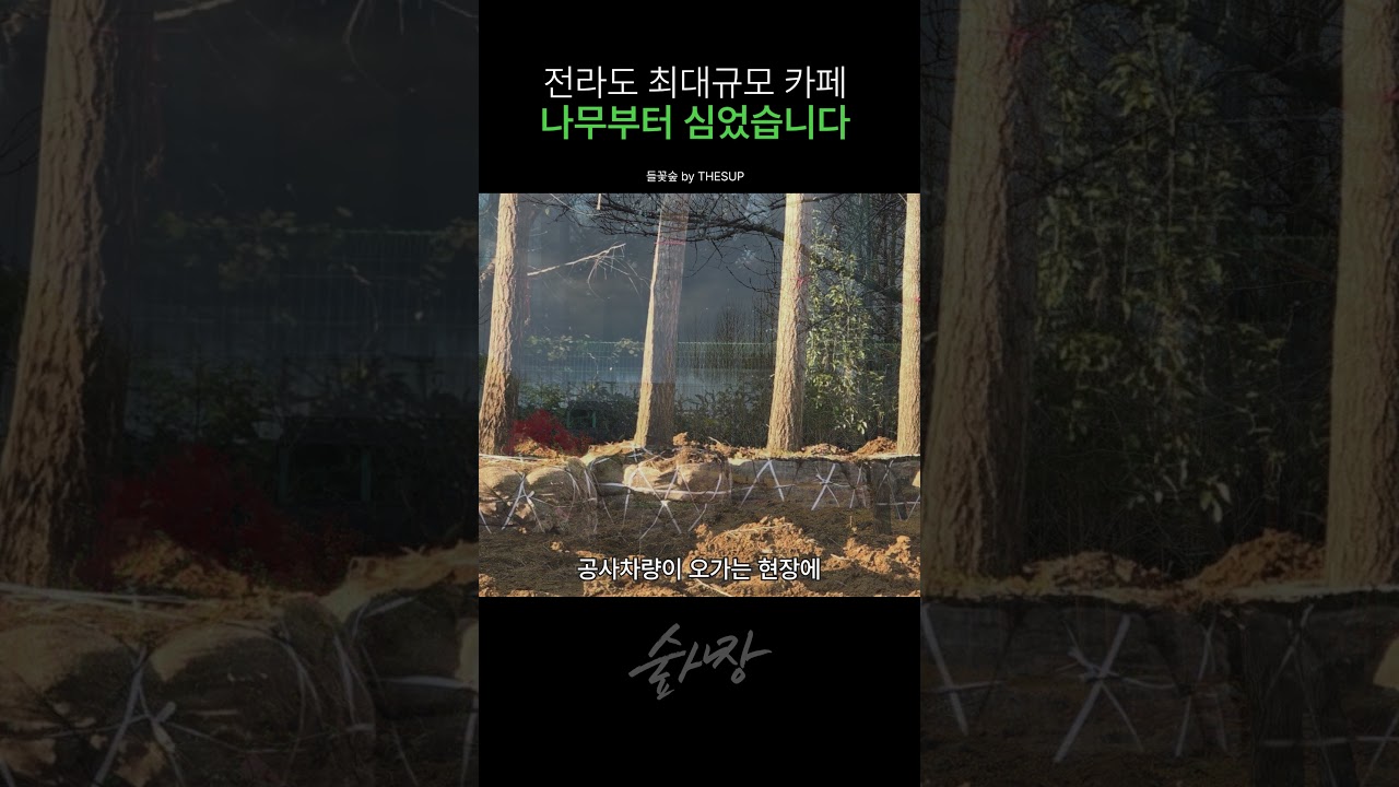조경 인생 10년, 이런 건 처음이었습니다. 전라도 최대 규모의 대형 카페 들꽃숲의 초대형 정원 #shorts