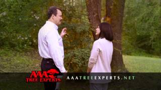 AAA Tree Experts, Inc.