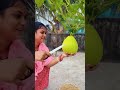 #garden#harvesting#shorts#minivlog#loki#gardening