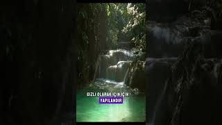 Tövbe nasıl olmalı? Videonun tamamı linktedir👆🏻 #tövbeduası #yeniden #tövbe #tasavvuf #insibağ