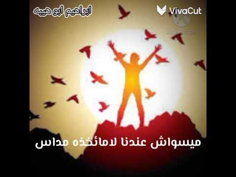 قدر اللي يقدر