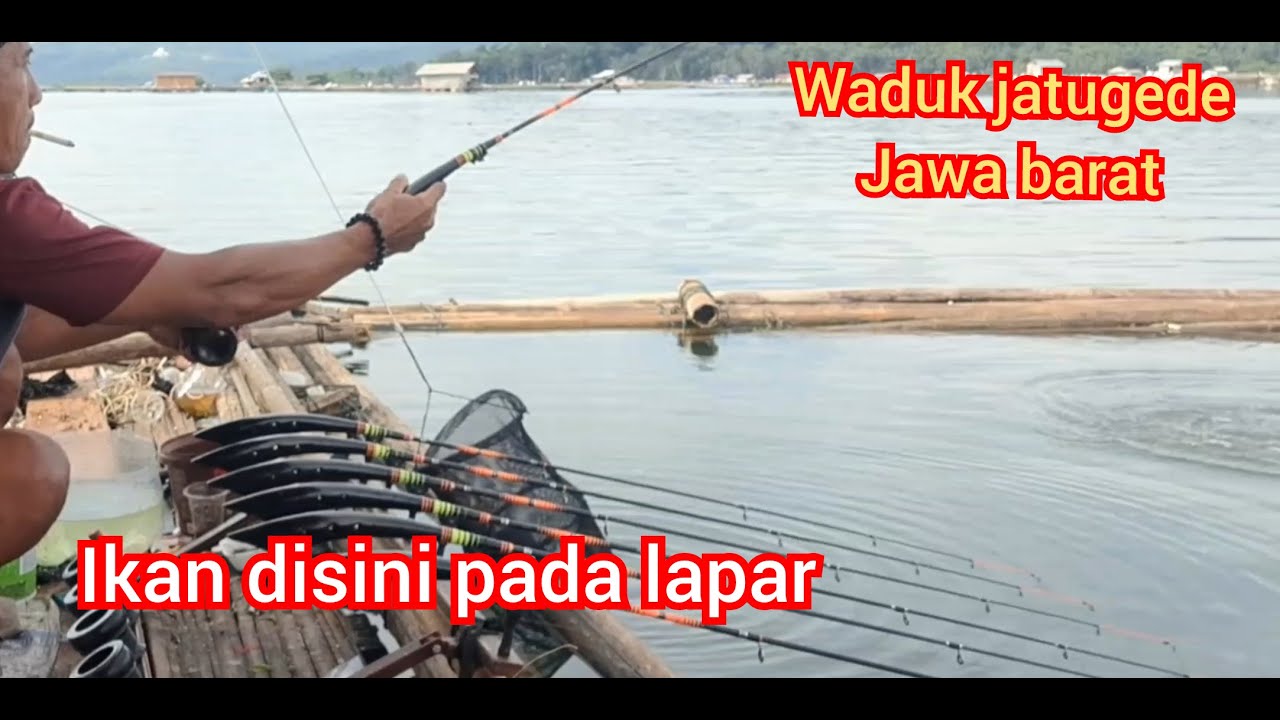 Mancing disini ikan nya pada lapar lapar.. #mancingjatigede #mancingdanau