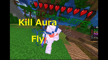 Hacker Report KillAura Anti-KnockBack Fly Speed EggWars CubeCraft Minecraft AntiKB ハッカー キューブクラフト