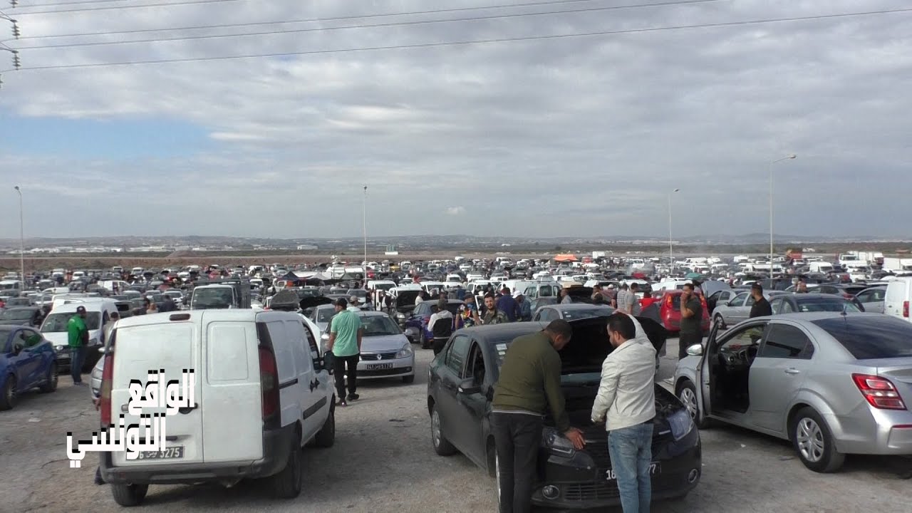 سوق السيارات المروج: جولة و لمحة عن مختلف الأسعار للسيارات المستعملة #تونس #automobile #2025 #ثمن