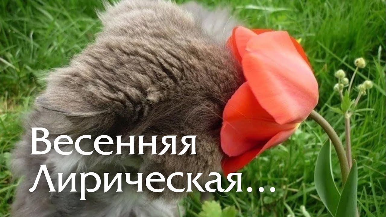 SK.art & AI - Весенняя лирическая