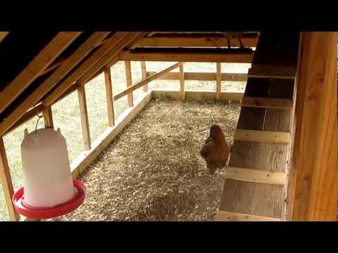 How To Make Nest Boxes With 5 Gallon Buckets | FunnyDog.TV