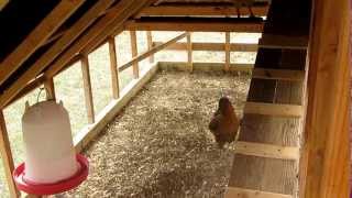 Chicken coop tractor updates