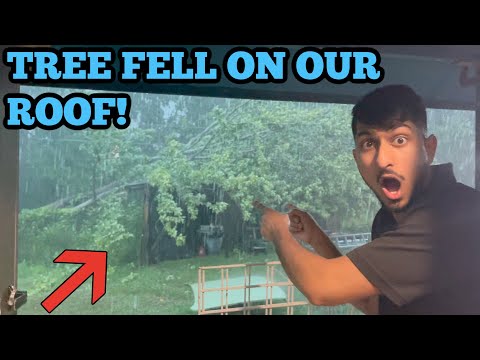 A Tree Fell On Our Roof! Bad Thunder Storm! Vlog 002