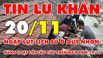 🆘 TIN LŨ KHẨN 20/11: Ngập lụt lịch sử ở Quy Nhơn: Hàng loạt lời cầu cứu trên mạng xã hội đêm 19/11