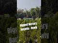 Biggest Nursary In Barpeta The Green Heaven Nursary || Assamese Vlogs