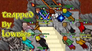 Many Lowlevels Trapped a Highlevel Player! (Elysia 2006 - RL Tibia 7.6) Rycerz Mordu