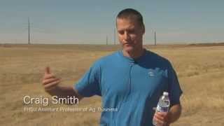 Apis Remote Sensing Systems