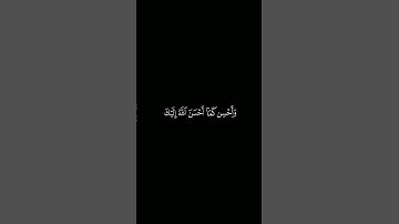 كروما آيات قرانية القارئ : عبدالبديع غيلان | سورة القصص | آية ٧٧