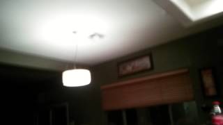 giant moth attack