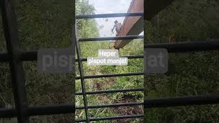 mispot long arm