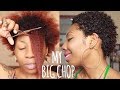 The Big Chop + Why I Cut My 4A Hair (Healthy Hair Journey) | NaturallyNellzy