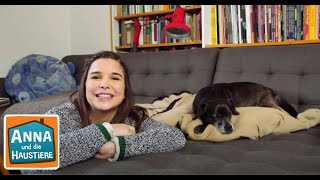 Das Hunde Einmaleins | Information für Kinder | Anna und die Haustiere