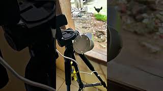 CCTV Indoor Outdoor HD! Pantau Rumah Lebih Aman &amp; Jelas