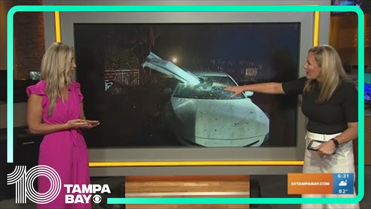 Heavy storms leave trail of damage in Clearwater - YouTube