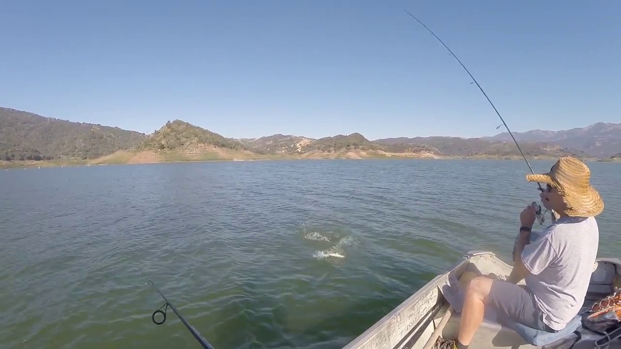 Lake Casitas Shad Fishing YouTube