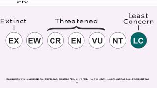 ヌートリア ヌートリア